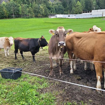 Ferienhof Bichlhof Arzl im Pitztal Bagian luar foto