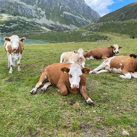 Ferienhof Bichlhof Arzl im Pitztal Ruang foto