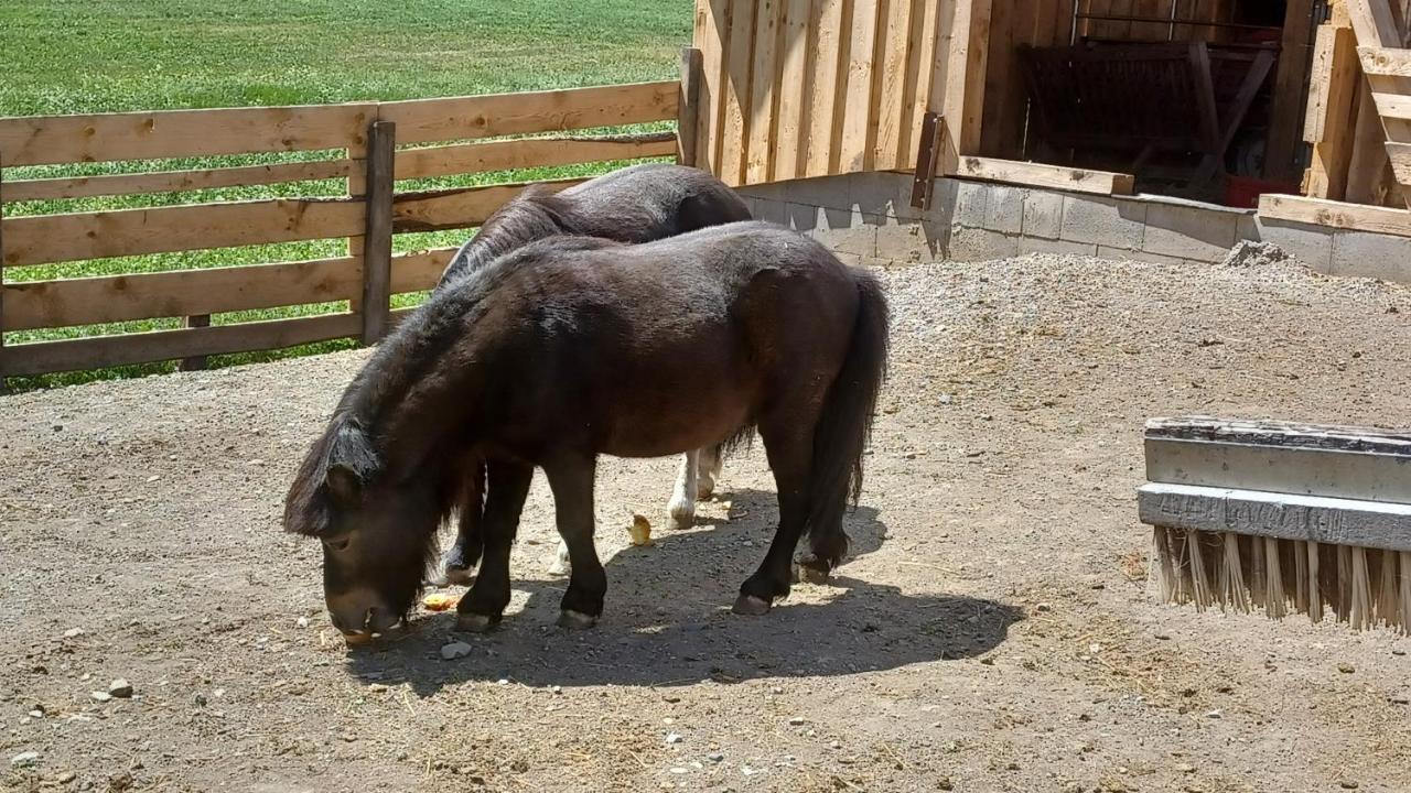 Ferienhof Bichlhof Arzl im Pitztal Bagian luar foto